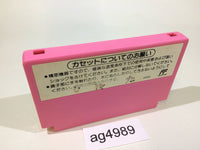 ag4989 Super Mario USA NES Famicom Japan