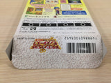 Dragon Quest Monsters 2 Iru BOXED GameBoy Game Boy Japan - UE1554