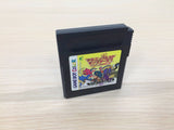 Dragon Quest Monsters 2 Iru BOXED GameBoy Game Boy Japan - UE1554