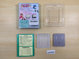 Kaeru no Tame ni Kane wa Naru BOXED GameBoy Game Boy Japan - UE5899