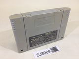 Asameshimae Nyanko SNES Super Famicom Japan - SJ8989