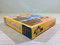 DK6820 Woody Pop Shinjinrui no Block Kuzushi BOXED Sega Game Gear Japan