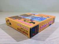 DK6820 Woody Pop Shinjinrui no Block Kuzushi BOXED Sega Game Gear Japan