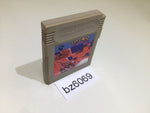 BZ6069 Tetris GameBoy Game Boy Japan