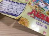 UE2461 Tottoko Hamutaro 3 BOXED GameBoy Advance Japan