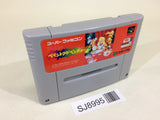 Alice no Paint Adventure SNES Super Famicom Japan - SJ8995
