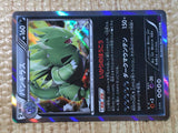 CE8041 Tyranitar R XY10 043/078 Pokemon Card TCG Japan