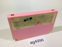 ag4996 Binary Land NES Famicom Japan