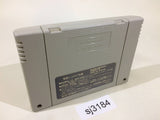 Elnard The 7th Saga SNES Super Famicom Japan - SJ3184