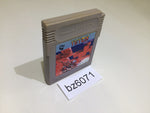 BZ6071 Tetris GameBoy Game Boy Japan