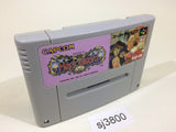 Magic Sword SNES Super Famicom Japan - SJ3800
