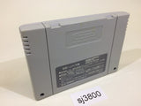Magic Sword SNES Super Famicom Japan - SJ3800