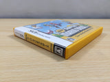 New Super Mario Bros. BOXED Nintendo DS Japan - UE7798