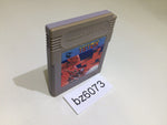 BZ6073 Tetris GameBoy Game Boy Japan