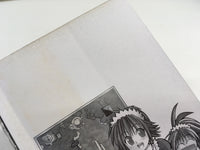AAA2023 Flame of Recca Vol.25 Japanese Manga