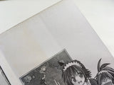 AAA2023 Flame of Recca Vol.25 Japanese Manga