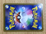 CE6642 Flannery SR S6H 080/070 Pokemon Card TCG Japan
