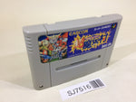 SJ7516 Chou Makaimura Super Ghouls 'n Ghosts SNES Super Famicom Japan