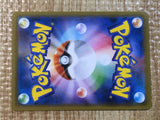 CE6243 Ice Rider CalyrexV SR S6H 072/070 Pokemon Card TCG Japan
