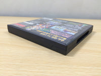 UE8115 SaGa 3 Shadow or Light BOXED Nintendo DS Japan