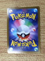 CE8843 Flareon V SR S6a 072/069 Pokemon Card TCG Japan