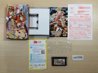 UE3395 Summon Night Craft Sword Story BOXED GameBoy Advance Japan