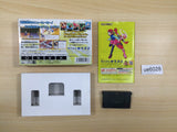 UE6028 Rockman Exe Battle Network Megaman BOXED GameBoy Advance Japan