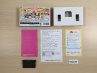 UE3511 Pichimo Ni Narou Let's become Pichimo BOXED GameBoy Advance Japan