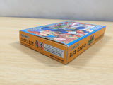 UE6028 Rockman Exe Battle Network Megaman BOXED GameBoy Advance Japan
