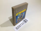 Super Mario Land 2 6 Golden Coins GameBoy Game Boy Japan - BZ8733