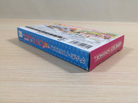 UE3511 Pichimo Ni Narou Let's become Pichimo BOXED GameBoy Advance Japan