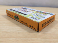 UE6028 Rockman Exe Battle Network Megaman BOXED GameBoy Advance Japan