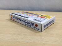 UE6320 PAC MAN COLLECTION BOXED GameBoy Advance Japan