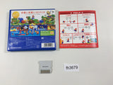 FH3679 Super Mario 3D Land BOXED Nintendo 3DS Japan