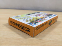 UE6028 Rockman Exe Battle Network Megaman BOXED GameBoy Advance Japan
