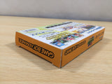 UE6028 Rockman Exe Battle Network Megaman BOXED GameBoy Advance Japan