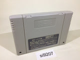Sugoro Quest Dicenics SNES Super Famicom Japan - SI9207