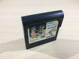 Shadam Crusader Harukanaru Oukoku Sega Game Gear Japan - DK6078