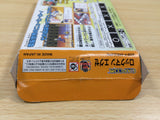 UE6028 Rockman Exe Battle Network Megaman BOXED GameBoy Advance Japan