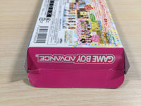 UE3511 Pichimo Ni Narou Let's become Pichimo BOXED GameBoy Advance Japan