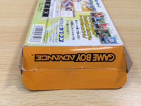 UE6028 Rockman Exe Battle Network Megaman BOXED GameBoy Advance Japan