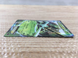 cd6569 Sceptile EX RR XY7 007/081 Pokemon Card TCG Japan
