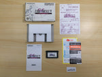 UE5525 Final Fantasy V 5 Advance BOXED GameBoy Advance Japan