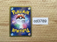 CD3789 Zekrom - PROMO 111/BW-P Pokemon Card TCG Japan