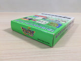 Dragon Quest Monsters 2 Ruka BOXED GameBoy Game Boy Japan - UE3984