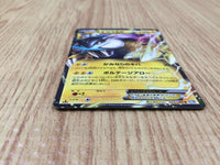 CE4646 Raikou EX R BW4 025/069 Pokemon Card TCG Japan