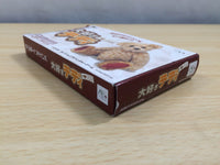 UE6321 Daisuki Teddy Bear BOXED GameBoy Advance Japan