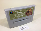 Super Royal Blood Gemfire SNES Super Famicom Japan - SJ5491