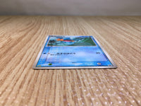 CE8046 Mudkip - PROMO 083/PCG-P Pokemon Card TCG Japan