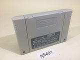 Super Royal Blood Gemfire SNES Super Famicom Japan - SJ5491
